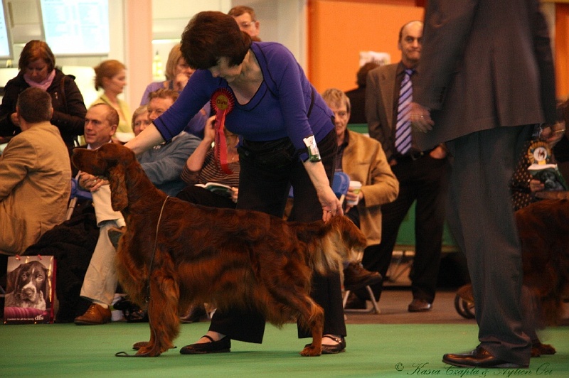 Crufts2011_2 165.jpg